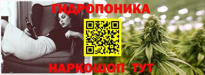 mdpv Вышний Волочёк