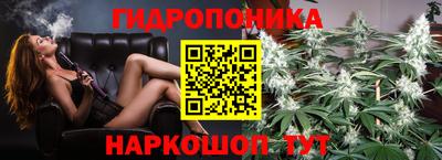 mdpv Вышний Волочёк